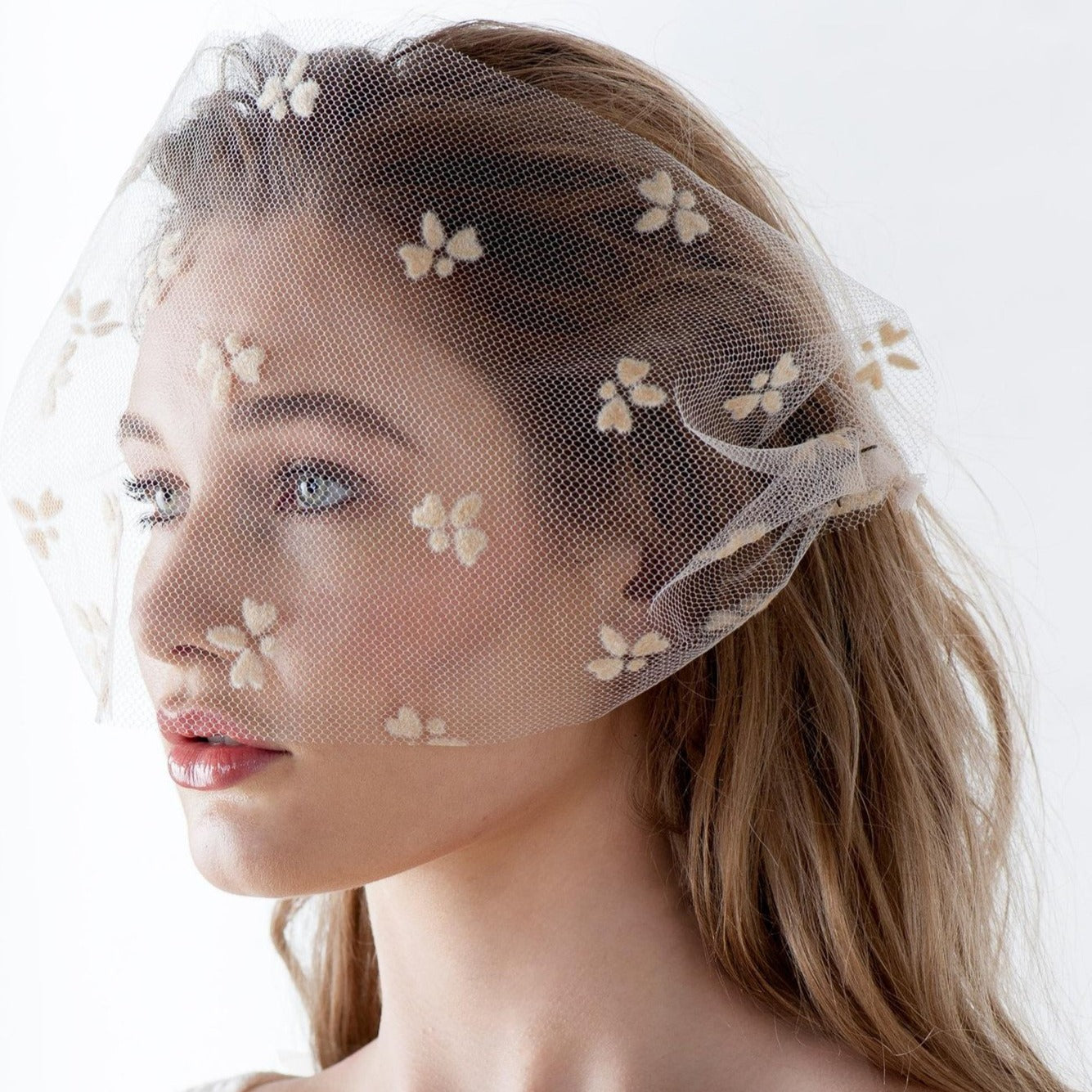 VOILE