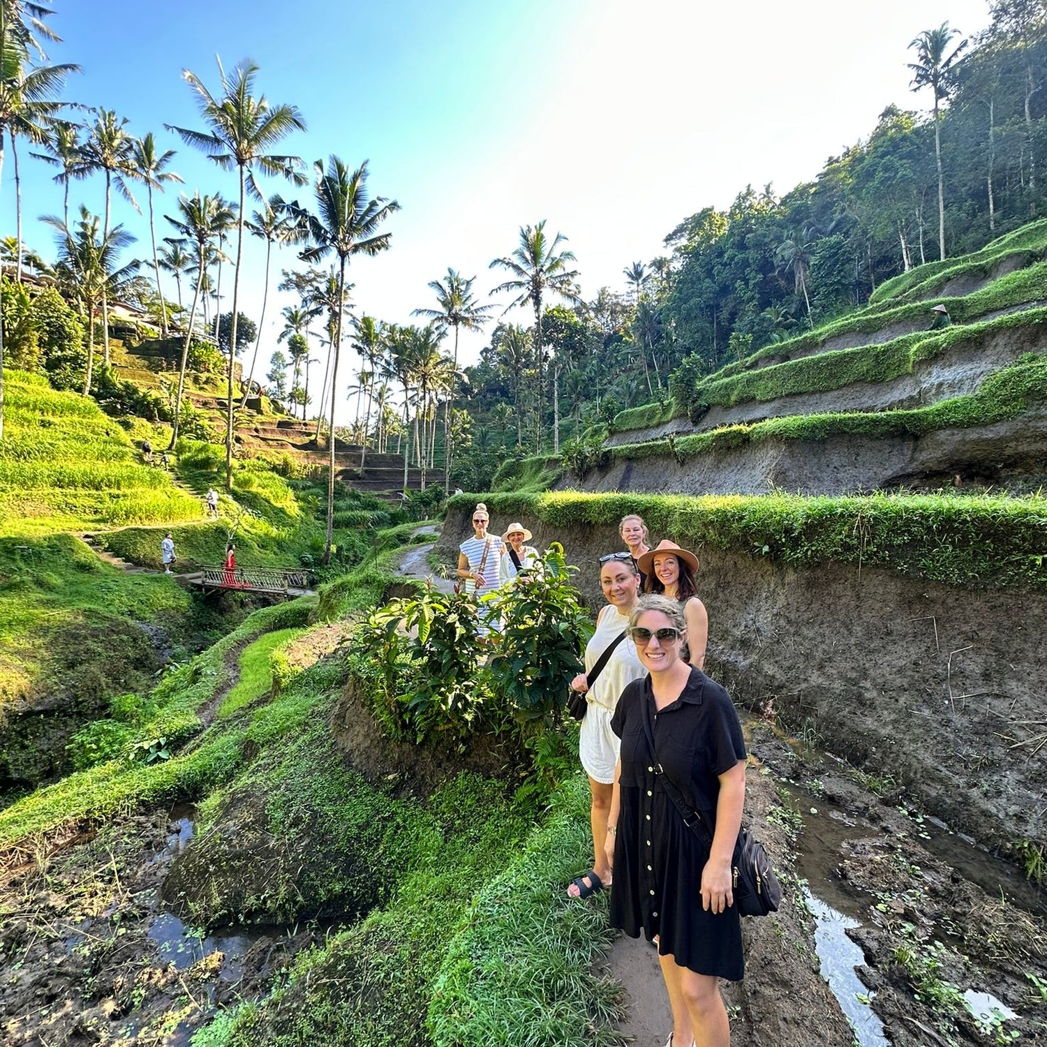 Group of people standing on a path with green rice terraces and palm trees in the background.