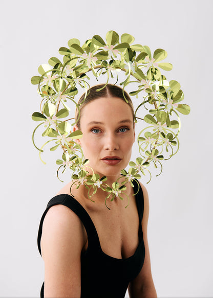 ORCHID SASHAY
